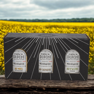 MAISON DUPONT - COFFRET 3 MOUTARDES MIEL CALVADOS PASTIS - 3 X 105 G