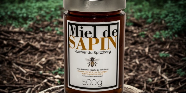 Le miel de sapin du Rucher du Spitzberg : son histoire et 5 recettes pour le cuisiner.